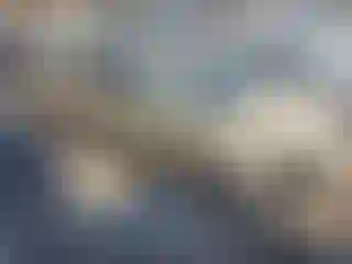 Vehicle Image- 2020 Toyota Tacoma
