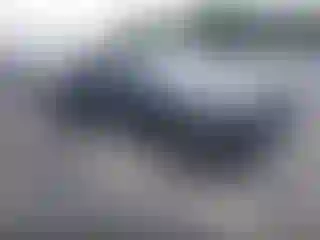 Vehicle Image- 2021 Toyota Tacoma