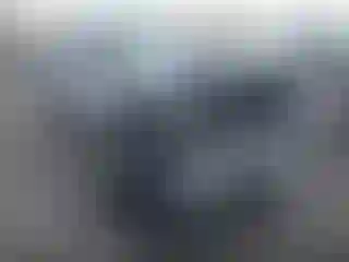 Vehicle Image- 2021 Toyota Tacoma