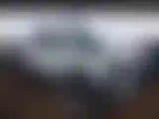 Vehicle Image- 2023 Toyota Tacoma