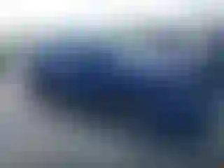 Vehicle Image- 2023 Toyota Tacoma