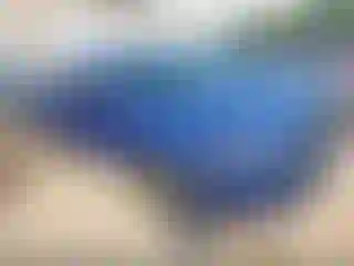 Vehicle Image- 2023 Toyota Tacoma