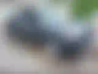 Vehicle Image- 2021 Toyota Tacoma