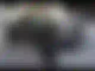 Vehicle Image- 2021 Toyota Tacoma