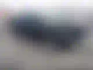 Vehicle Image- 2023 Toyota Tacoma