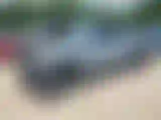 Vehicle Image- 2019 Toyota Tacoma