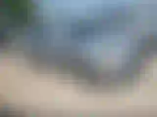 Vehicle Image- 2021 Toyota Tacoma