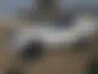 Vehicle Image- 2022 Toyota Tacoma