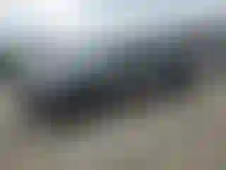 Vehicle Image- 2023 Toyota Tacoma