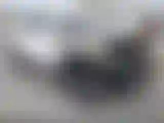 Vehicle Image- 2021 Toyota Tacoma