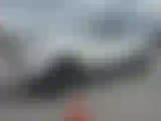 Vehicle Image- 2023 Toyota Tacoma