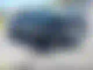 Vehicle Image- 2023 Toyota Tacoma