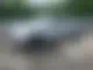 Vehicle Image- 2019 Toyota Tacoma