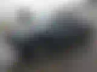 Vehicle Image- 2023 Toyota Tacoma