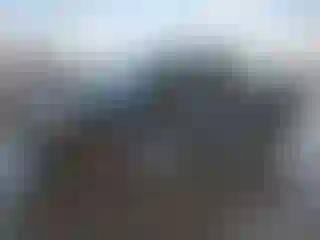 Vehicle Image- 2023 Toyota Tacoma