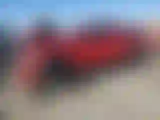 Vehicle Image- 2019 Toyota Tacoma