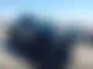 Vehicle Image- 2019 Toyota Tacoma