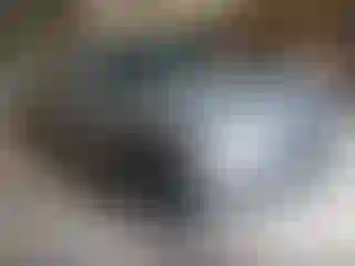 Vehicle Image- 2020 Toyota Tacoma