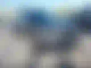 Vehicle Image- 2023 Toyota Tacoma