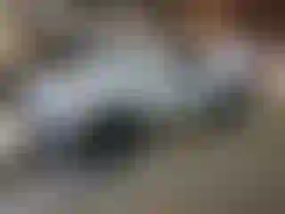 Vehicle Image- 2023 Toyota Tacoma