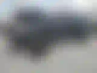 Vehicle Image- 2021 Toyota Tacoma