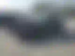 Vehicle Image- 2022 Toyota Tacoma