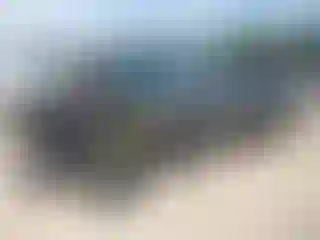 Vehicle Image- 2022 Toyota Tacoma