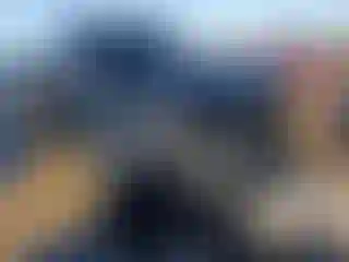 Vehicle Image- 2020 Toyota Tacoma