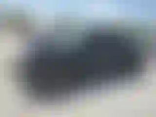 Vehicle Image- 2021 Toyota Tacoma