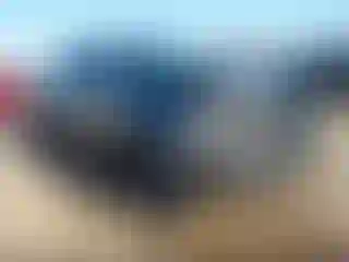 Vehicle Image- 2023 Toyota Tacoma