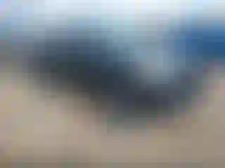 Vehicle Image- 2023 Toyota Tacoma