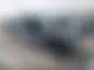 Vehicle Image- 2022 Toyota Tacoma