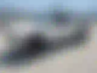 Vehicle Image- 2016 Toyota Tacoma