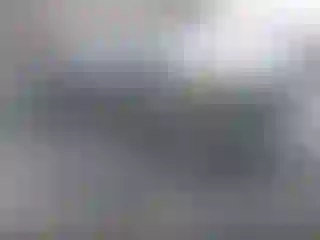 Vehicle Image- 2019 Toyota Tacoma