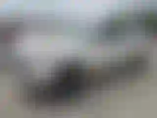 Vehicle Image- 2020 Toyota Tacoma