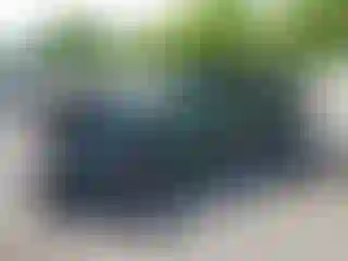 Vehicle Image- 2021 Toyota Tacoma