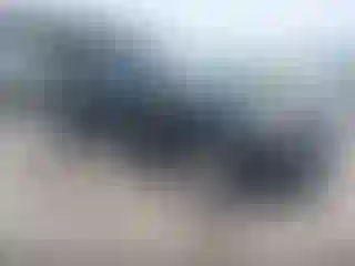 Vehicle Image- 2017 Toyota Tacoma