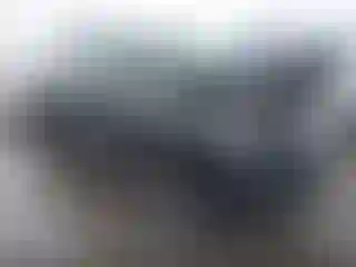 Vehicle Image- 2021 Toyota Tacoma