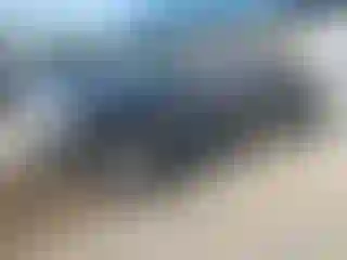 Vehicle Image- 2023 Toyota Tacoma