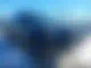Vehicle Image- 2023 Toyota Tacoma