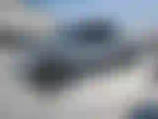 Vehicle Image- 2019 Toyota Tacoma