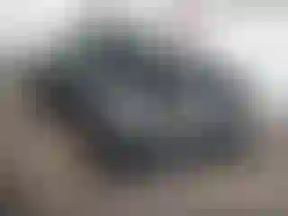 Vehicle Image- 2021 Toyota Tacoma