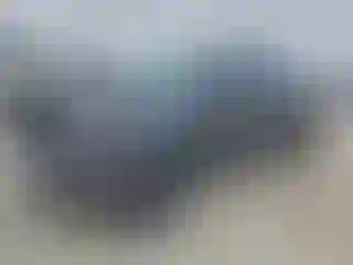 Vehicle Image- 2010 Toyota Tacoma