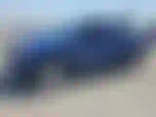 Vehicle Image- 2014 Toyota Tacoma