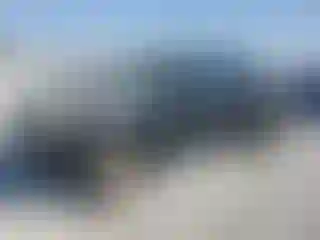 Vehicle Image- 2010 Toyota Tacoma