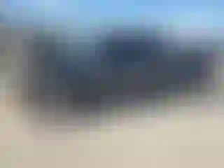 Vehicle Image- 2011 Toyota Tacoma
