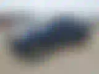 Vehicle Image- 2007 Toyota Tacoma