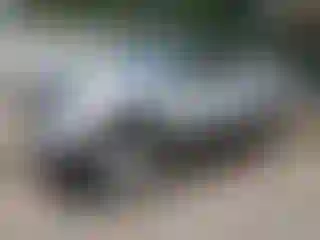Vehicle Image- 2007 Toyota Tacoma