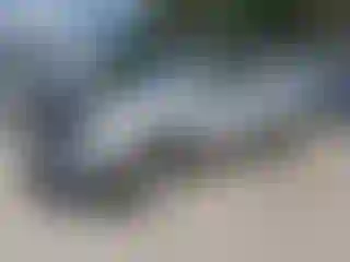 Vehicle Image- 2006 Toyota Tacoma