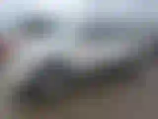 Vehicle Image- 2009 Toyota Tacoma